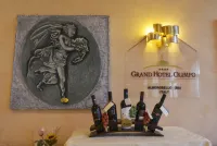 Grand Hotel Olimpo - bar