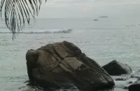 Happy Beach Villa Resort