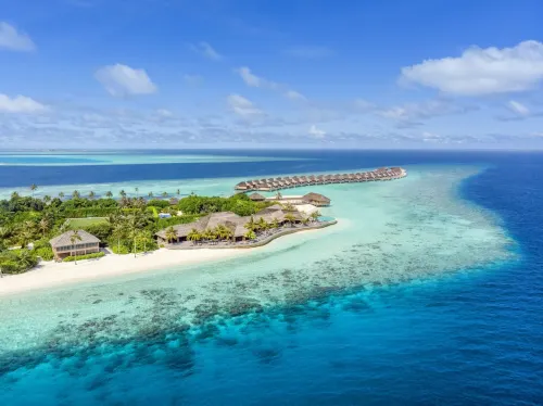 Hurawalhi Island Resort - Pool