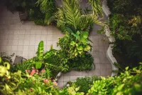 Encanto Riviera Hotels in der Nähe von Quinta Avenida