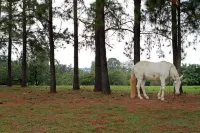 San Raphael Country Hotel