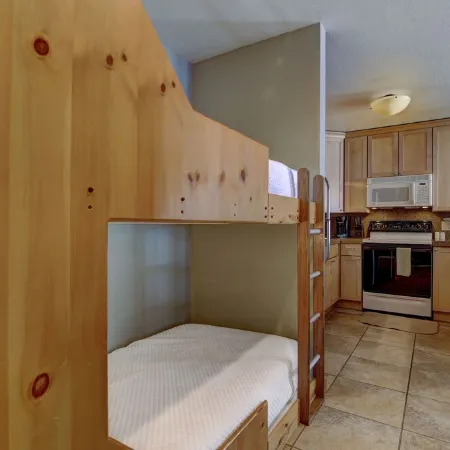Cozy ski in , heated pool, on golf course, mtn view, tubing, king bed, garage