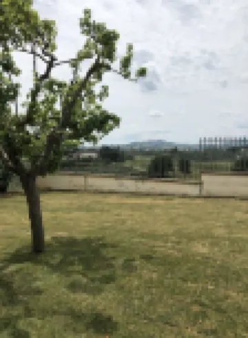 Podere La Quercia 莊園