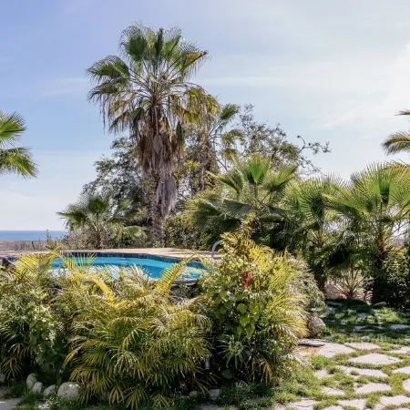 Villa Gardenia - Oceanfront House Mango