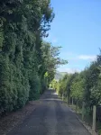 Peaceful Country Vibes - Close to Town