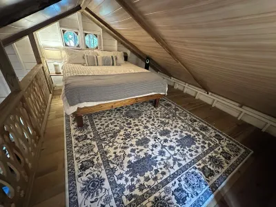 TREE FROG HOUSE: Waterfront, Caribbean Island Jungle Cabin in Bastimentos w/ AC Hotels in 