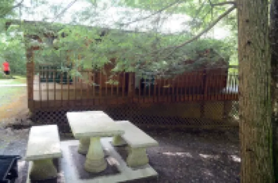 2 bedroom 1 bath cabin