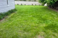 Perfect for a couple with a dog – No cleaning fee