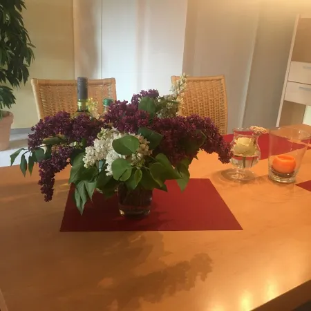 Exclusive vacation apartment near the lake in a residential complex with a park-like garden