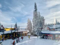 Bright 2 bdrm, 13 minutes from Silver Star/Golf/Lakes