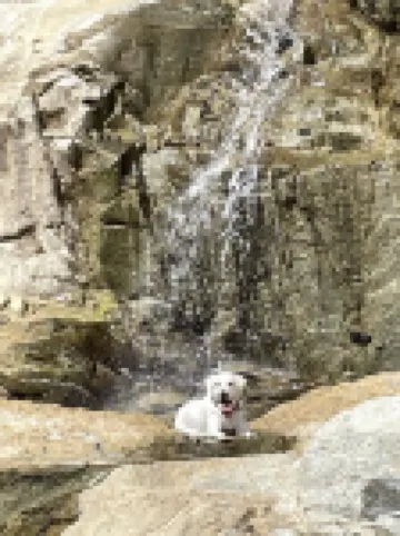 Private 2nd Floor Suite w/outdoor kitchen. Sweeping Ocean Views. Max. 2 people