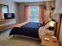 Posh Cozy 2 Bedroom Condo in Med Center/NRG
