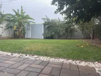Back House with Large Yard and Fruit Trees