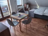 1 room apartment directly on the Schwielowsee with bathing access and garden
