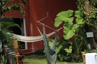 casademarthayjaimealjuntoalrioveracruz Các khách sạn ở 