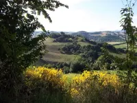 Beautiful self-catering flat for rent in the country