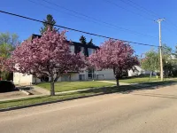 Stunning 1 Bedroom Apartmenet Hotels in Camrose