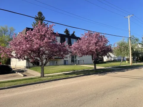 Stunning 1 Bedroom Apartmenet