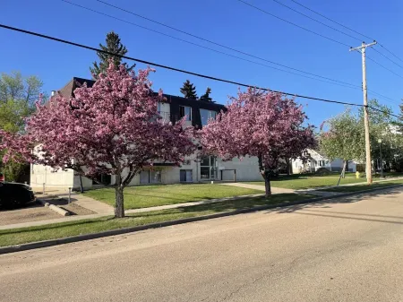 Stunning 1 Bedroom Apartmenet