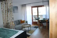 1-room apartment with large balcony, sauna + swimming pool in the house