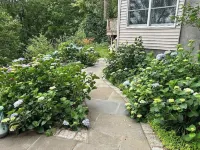 1 HR NYC Getaway Awesome Newly Renovated Home on 4 Acres, Stunning Views