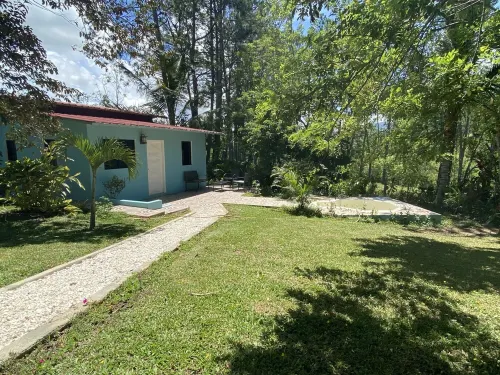 House under palm trees (pool and whirlpool included)