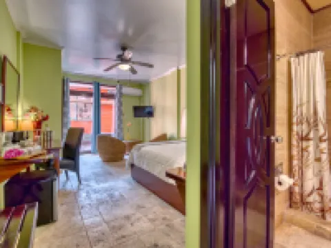 Hotel Palma Royale โรงแรมในโบกาสเดลโตโร