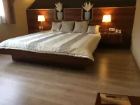 Alfa Hotel โรงแรมในกียอร์