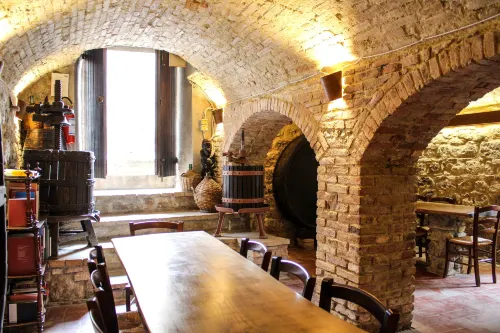 Fattoria San Donato - Pet friendly