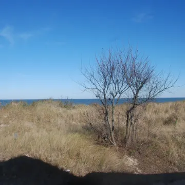 Old Time Beach Front Cottage - the Beach Is Your Backyard! 3 Bedroom Cottage by RedAwning