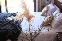 Casa Alice Hotels in Vrsar