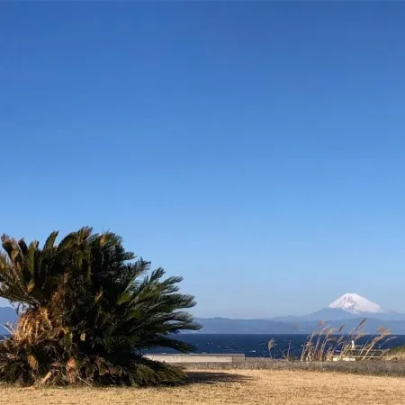 Resort Villa Miko