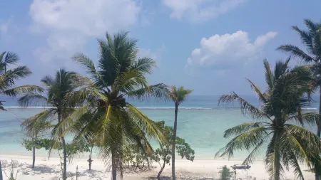 Hathaa Beach Maldives Отели рядом с достопримечательностью «Ocean Junkies Dive Centre»