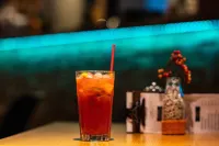 Hotel Viktória - Quầy bar