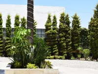 Hotel Pacific Hotels in Tijuana