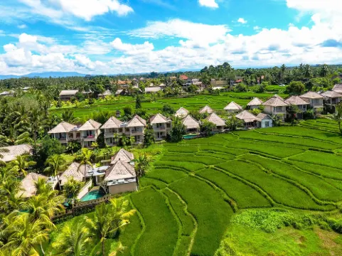 Mesari Hotel Ubud