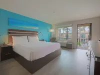 The Cove Hotel Hotels near Pacific Coast Highway