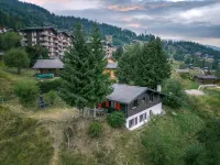 Chalet Nicolas - balcony