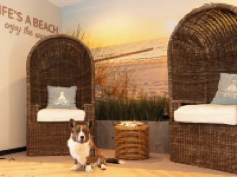 Beachfront Boutiquehotel Hotels in Vlissingen