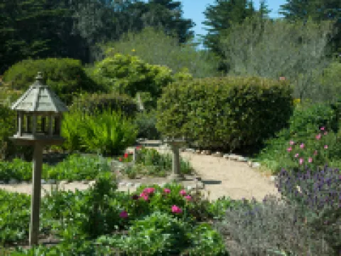 Seal Cove Inn Hotels in Moss Beach