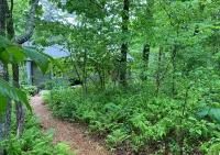 Luxury Escape: 2 King Suites, in-Town Highlands, NC – Fireplace & Fiber Optic Hotel di Highlands