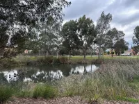 Quiet Comfort for Relaxing Stays