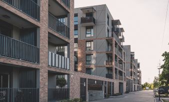 Industria Nowoczesny i Bezpieczny Stadion Zawisza