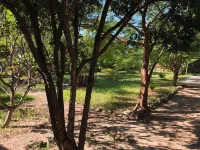 Tantaruga s Eden the hidden peace of heaven and tranquility Hotels in Bwejuu