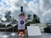 That 70’s Loft- Peace, Love and a Funky Stay!