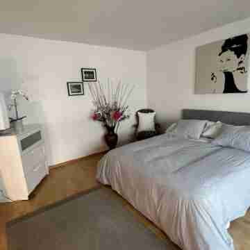 Basel Schweiz Apartment 302 Rooms