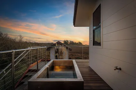 Wander Bodega Shoals