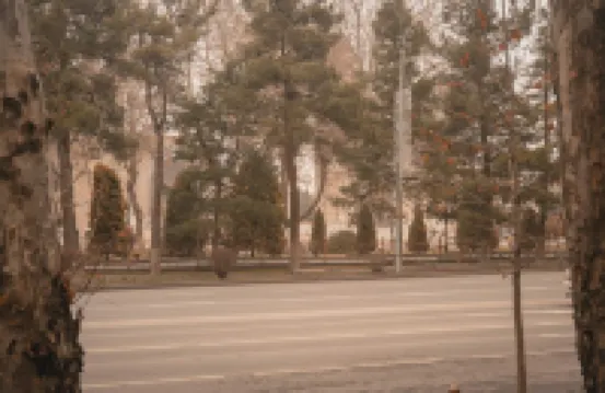 Charming apartment with AC and WiFi in lovely Samarqand