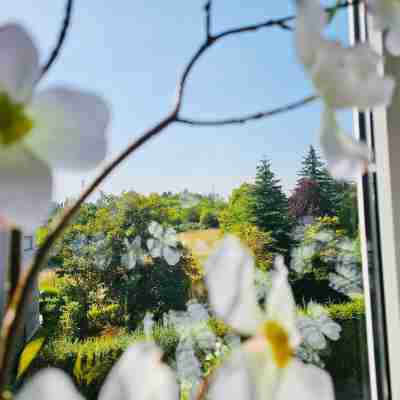 Chic Urban Stay 2Br with Parking- Bel4 Others