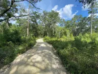 North Florida Cabin near Springs / Trails / Campground / Fire Pit